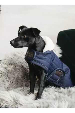 Affaire À Saisir Manteau pour chien matelassé Pearls - Kentucky Dogwear