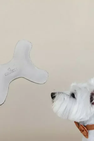 Top Vente Jouet pour chien os pastel - Kentucky Dogwear