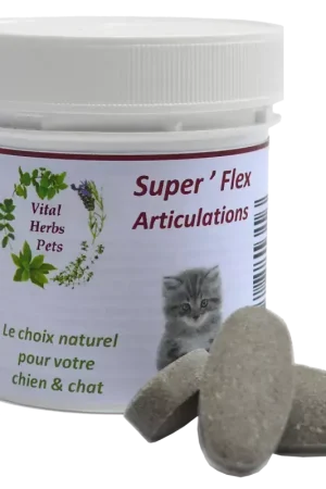 Acheter Direct Superflex Tabs articulations chiens - Vital Herbs
