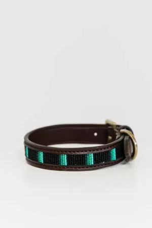 Collier pour chien en perles - Kentucky Dogwear Prix Réduit