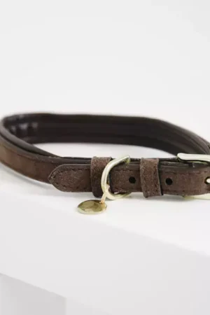 Collier chien Velvet Leather - Kentucky Dogwear Remise