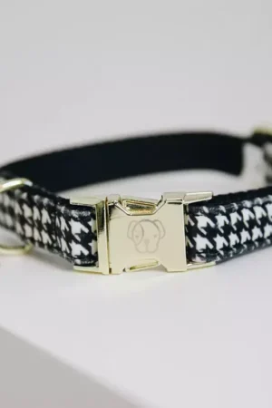 Collier pour chien Pied-de-poule - Kentucky Dogwear Commander Vite