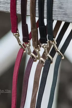 Nouveauté Laisse chien Corduroy 120cm - Kentucky