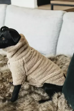 Pull pour chien Teddy Fleece - Kentucky Dogwear Meilleur Prix