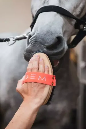 Affaire À Saisir Brosse douce cheval - GEM Equitation