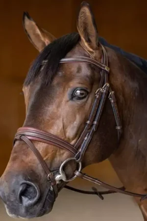 Prix Cassé Bridon cheval cuir Double Soft - HFI Master