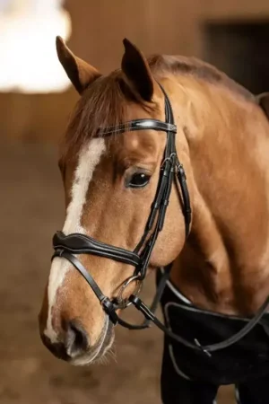 Bridon cheval cuir Wavy - HFI Master Prix Cassé