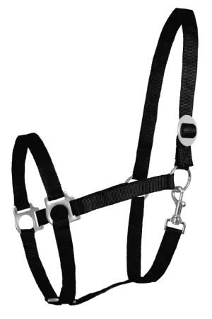 Top Vente Licol cheval nylon doublé doux Perlon - Waldhausen