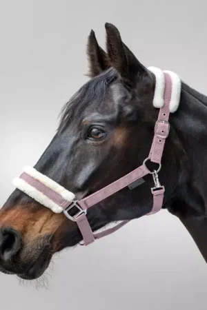 Vente Directe Licol cheval nylon et mouton synthétique First - Waldhausen