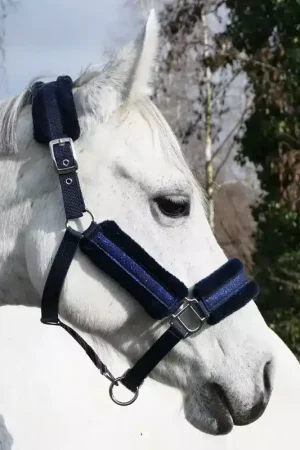 Pas Cher Licol nylon cheval paillettes mouton synthétique Star - Kavalkade