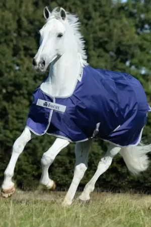 Achat Immédiat Couverture extérieur cheval 200g Atlantic - Bucas