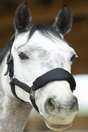 Promotion Saisonnière Set licol + longe mesh ergonomique Dorai - Pro-Confort Horsewear