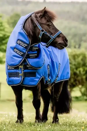 Usine Directe Couverture poney 0g et couvre-cou Amigo Hero 6 Petite Plus - Horseware