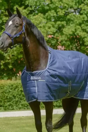 Affaire À Saisir Sous couverture cheval Quilt Silk Feel - Bucas