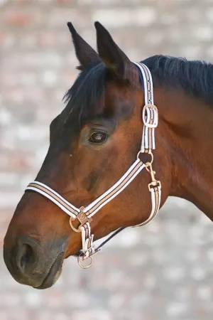 Acheter En Ligne Licol cheval rosé shine - Waldhausen