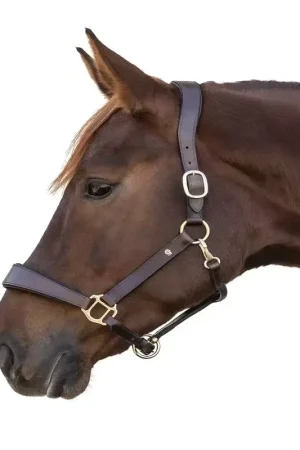 Usine Directe Licol cuir cheval anatomique X-Line - Waldhausen