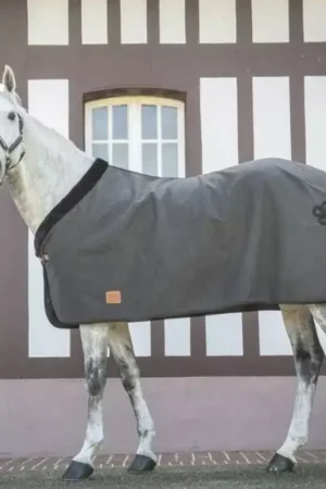 Dernier Modèle Chemise de présentation cheval Wooltouch - Paddock Sports