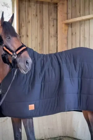 Sous couverture cheval 200g Underblanket - Paddock Sports Meilleur Choix