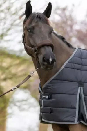 Jusqu'à Épuisement Des Stocks Doublure ergonomique cheval Gab 300g - Pro-Confort Horsewear