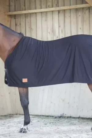 Retour Gratuit Chemise séchante cheval - Paddock Sports