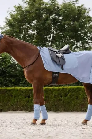 Acheter Direct Couvre reins anti-mouche cheval Rom - Waldhausen
