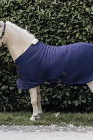 Acheter Direct Chemise séchante polaire poney - Kentucky