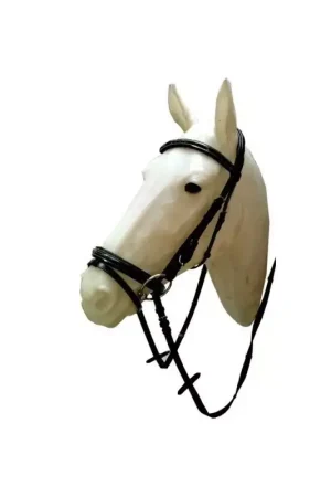 Paiement Sécurisé Bridon cuir laqué muserolle combinée - Cavalhorse