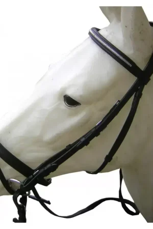 Prix Promo Bridon cheval cuir muserolle combinée chaînette - Cavalhorse