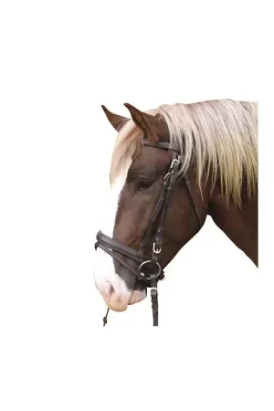 Bridon muserolle combinée cheval de trait Produit De Marque