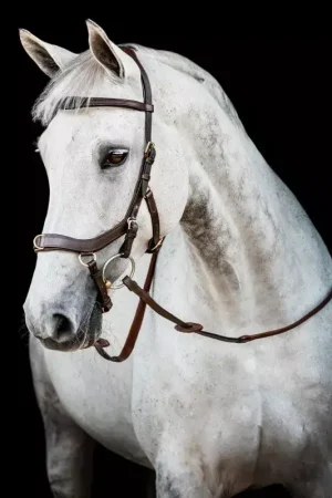 Bridon cuir cheval Micklem 2 multi-bride - Horseware Promotion