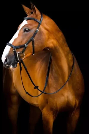 Bridon cheval anatomique Micklem Rambo Deluxe Competition - Horseware Commande En Gros