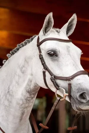Certifié Bridon cheval cuir Micklem Competition 2 avec rênes - Horseware