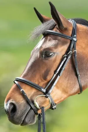 Offre Limitée Bridon cheval cuir Comfort - HFI