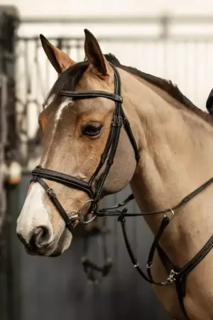 Commande En Gros Bridon cuir cheval têtière anatomique Milano - HFI