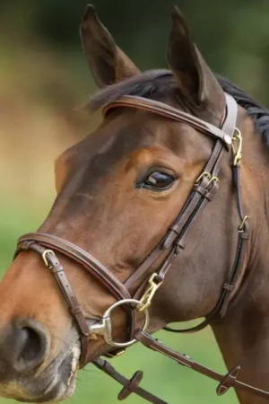 Satisfait Ou Remboursé Bridon cuir cheval Functional - HFI