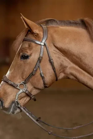 Expédition Rapide Bridon cuir cheval pour Hackamore - HFI
