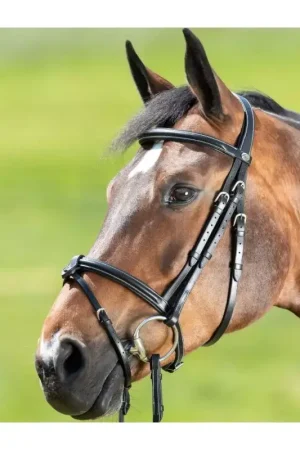 Prix Promo Bridon cheval cuir Anatomic - HFI