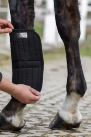 Affaire À Saisir Sous-bandes thérapeutiques cheval Therm - Covaliero