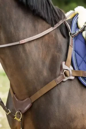 Collier de chasse cheval 5 points avec martingale - HFI Must-Have