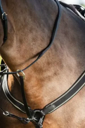 Affaire À Saisir Collier de chasse cheval avec martingale - HFI