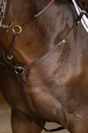 Commander Maintenant Collier de chasse cheval cuir italien et martingale Arezzo - HFI