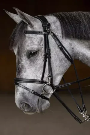 Marque Gogue cheval corde nylon - HFI