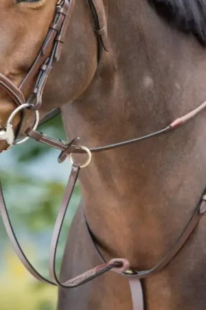 Martingale à anneaux cheval Running - HFI Produit De Marque