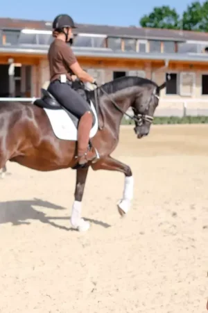 Prix Cassé Ceecoach 2 équitation oreillettes coach et cavalier - Seaver