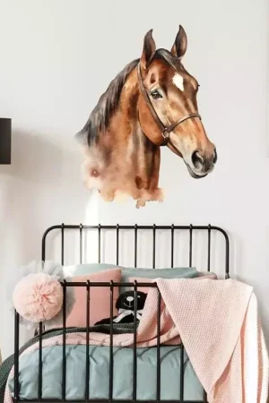 Affaire À Saisir Sticker déco Tête de cheval