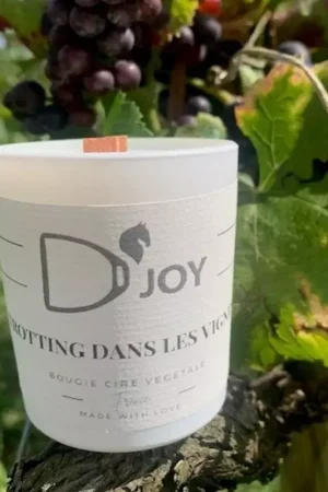 Bougie équitation Trotting dans les vignes Mini format - D'joy Usine Directe