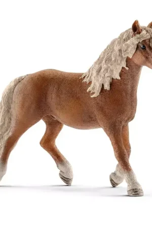 Expédié Aujourd'hui Figurine étalon Haflinger - Schleich