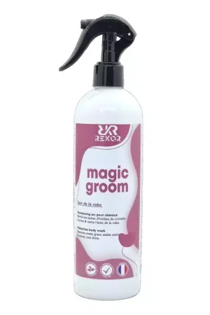 Shampoing sec cheval 650 ml Magic Groom - Rekor Réduction