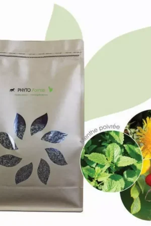 Phyto Forme - mélange plantes vitalité du cheval 1kg - Phyto Master Promotion