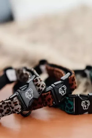 Collier pour chien Leopard - Kentucky Expédition Rapide
